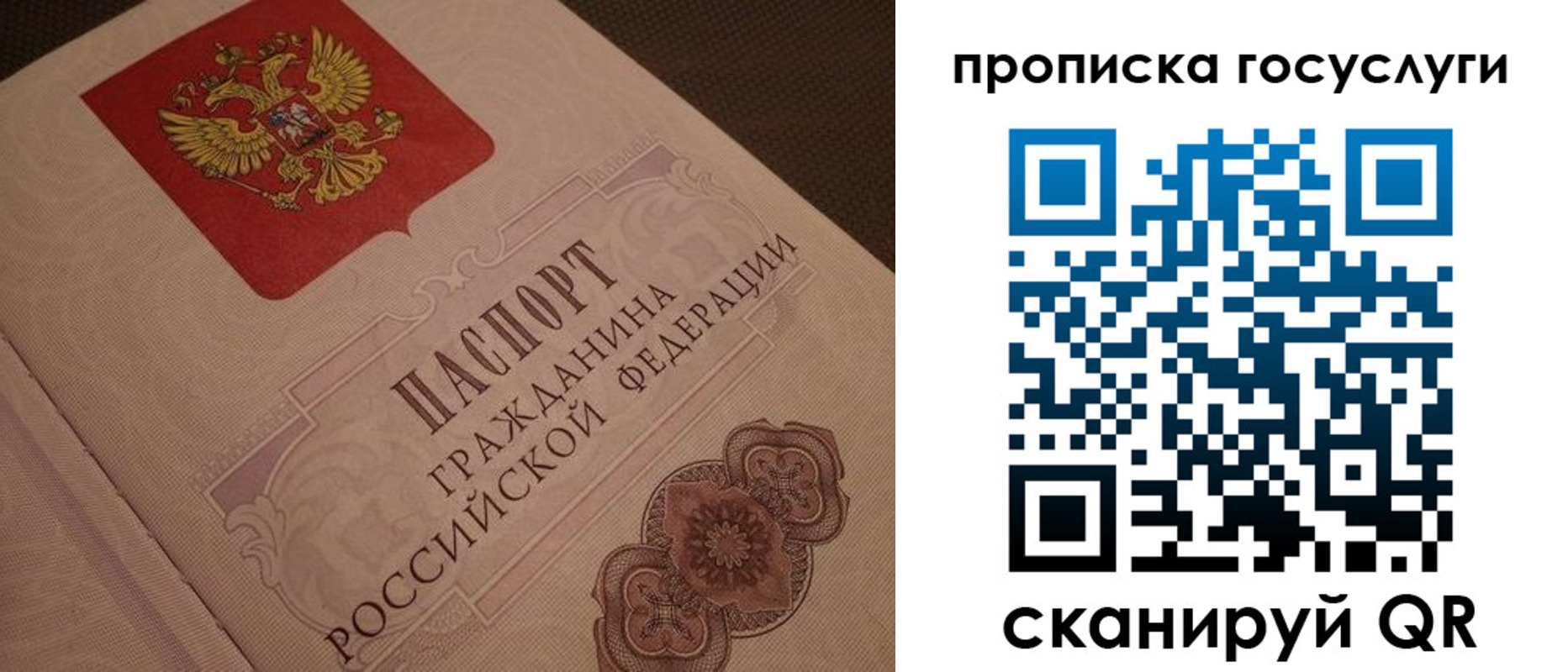 прописка для работы в Фокино